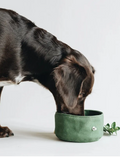 Max & Paws Everyday Portable Pet Bowl